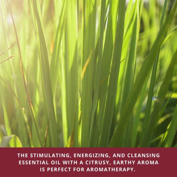 Guru Nanda - Lemongrass Essential Oil - Picture 4 of 7